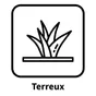 Terreux