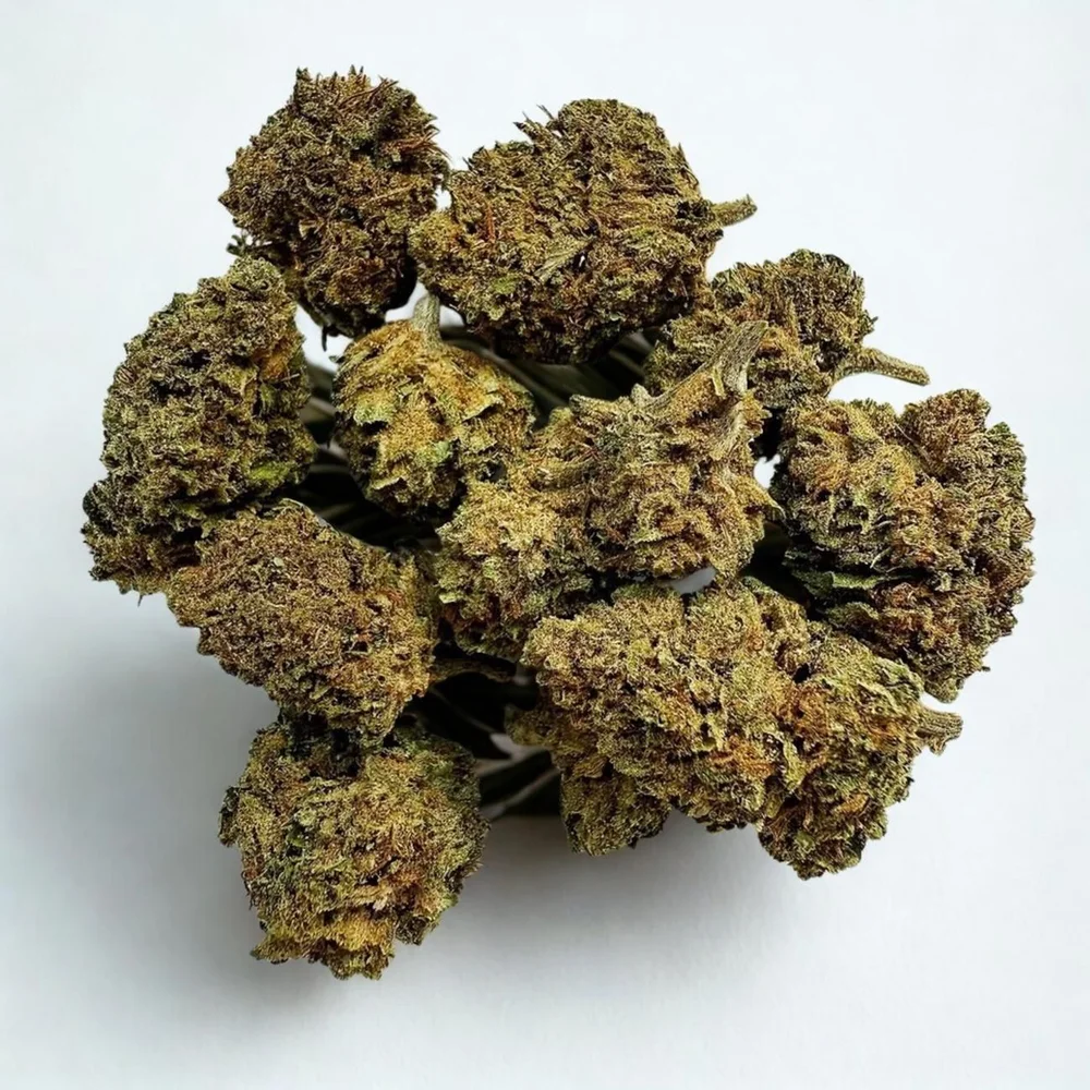 Lemon Pop