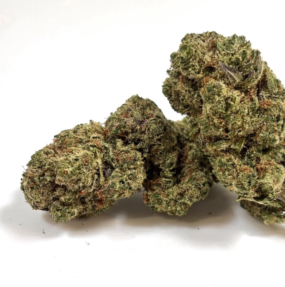 White Shark
