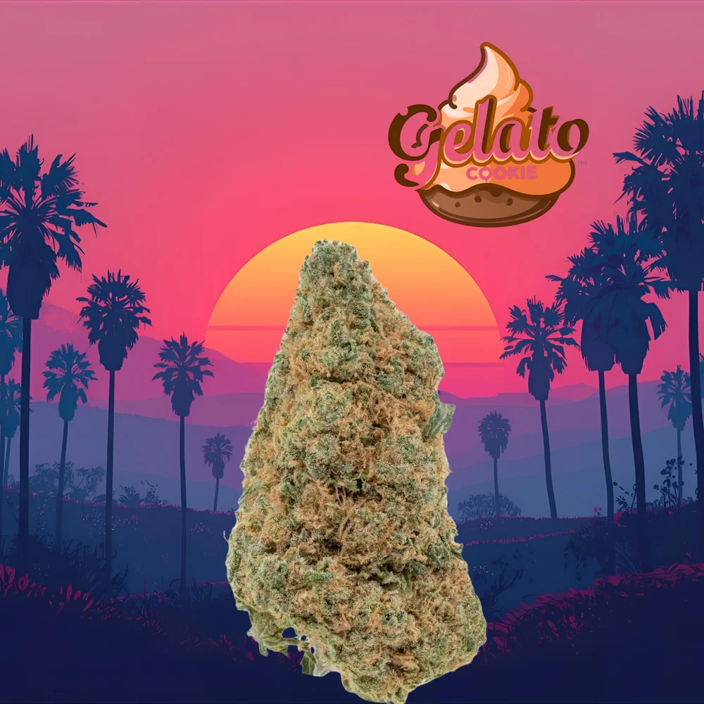 Gelato Cookie