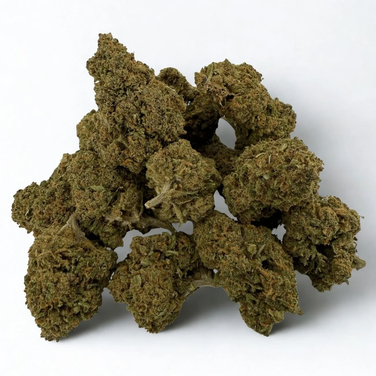 Amnesia