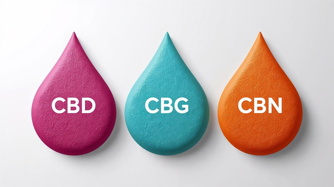 CBD,CBG,CBN les différences et leurs bienfaits
