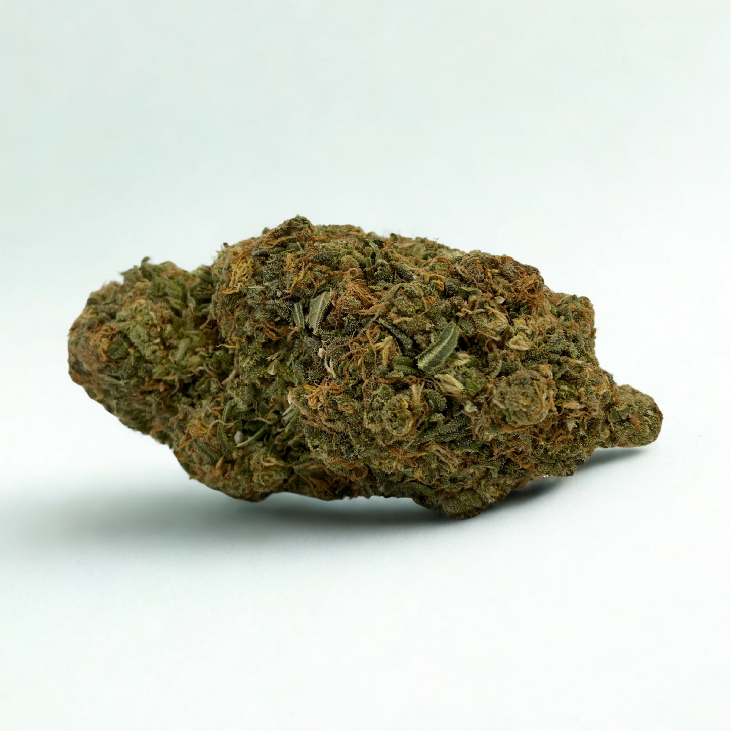 White Siberian Cryogenisée