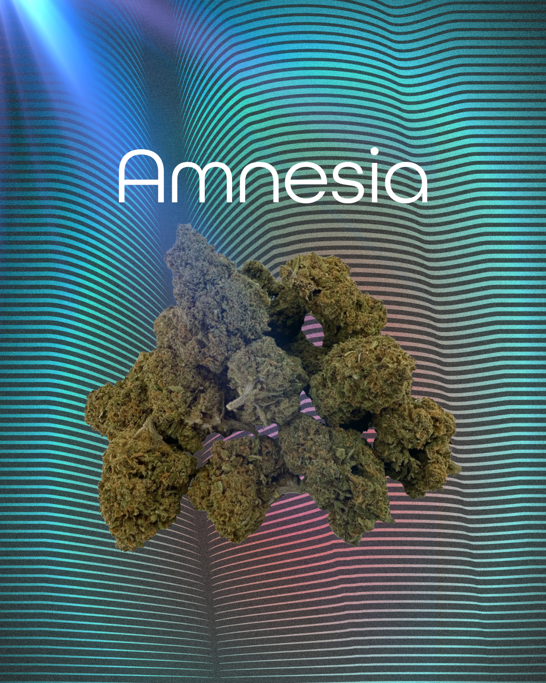 Amnesia