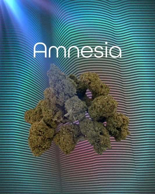 Amnesia