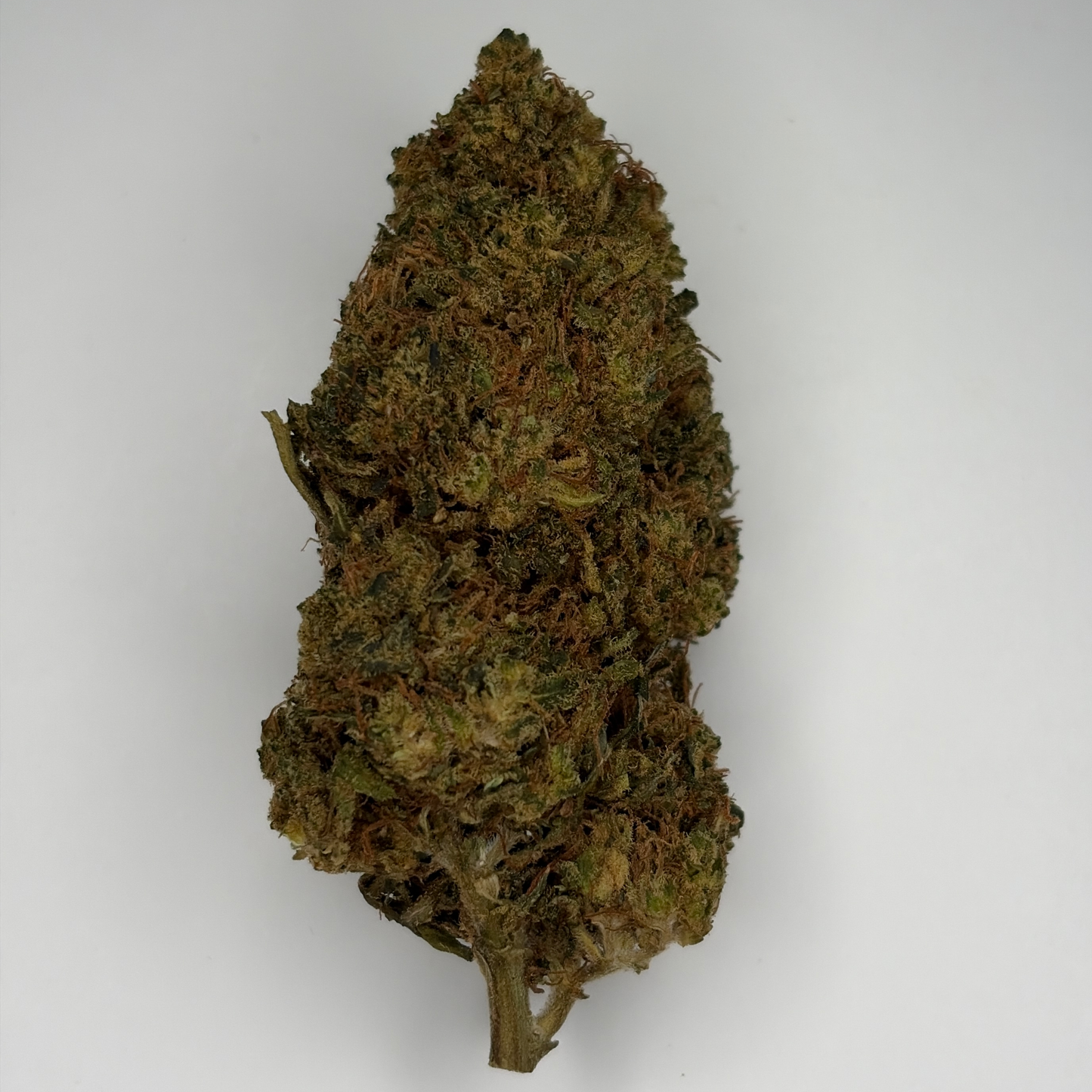 Rainbow Sherbet 44