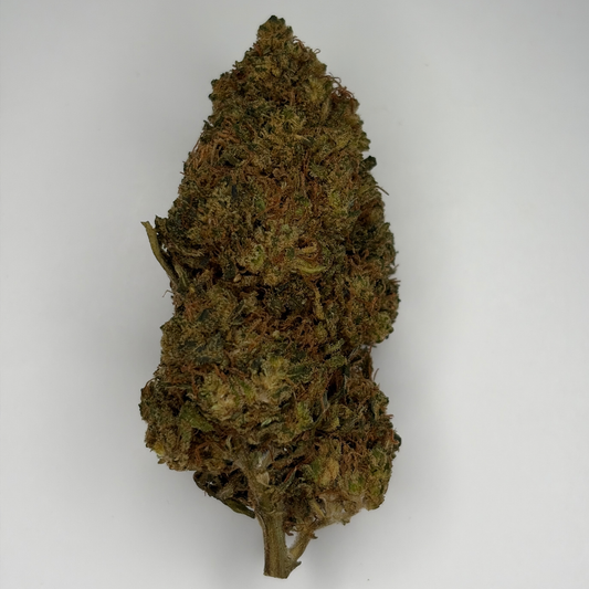Rainbow Sherbet 44