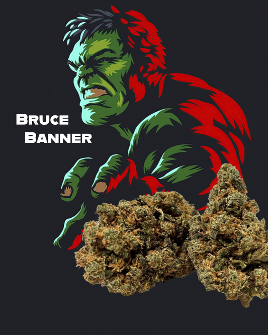 Bruce Banner