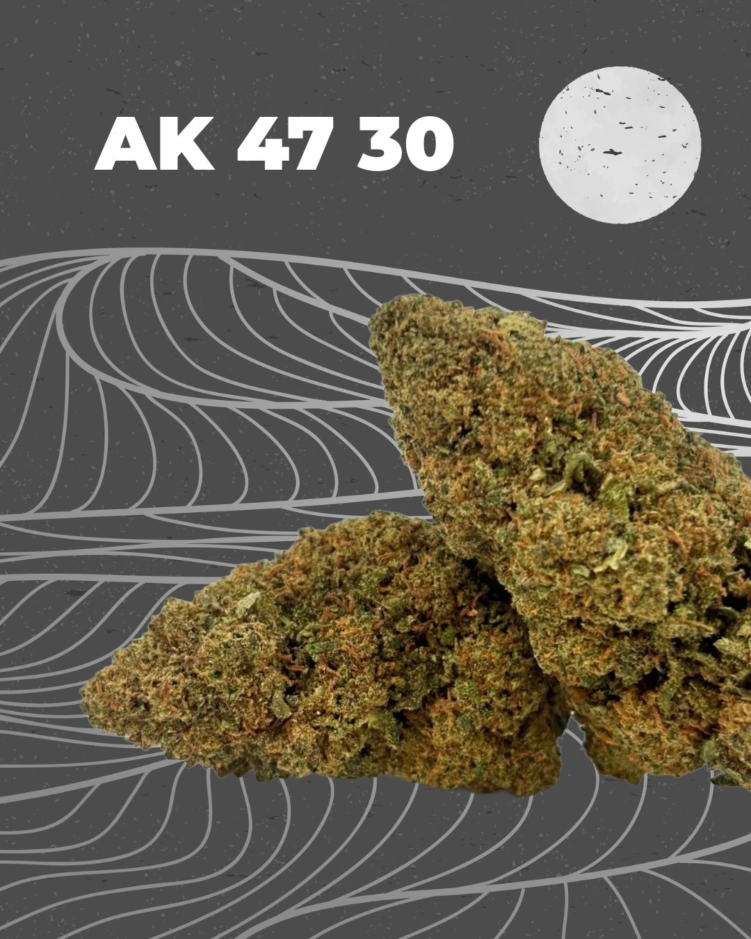 AK 47 30