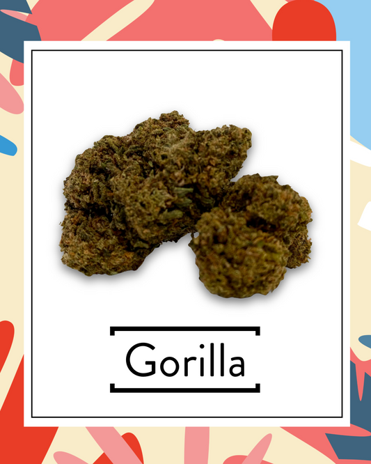 Gorilla