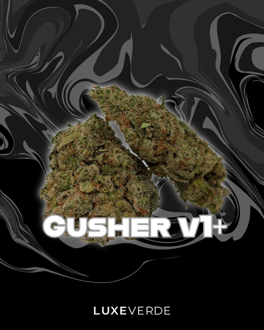 Gusher v1+