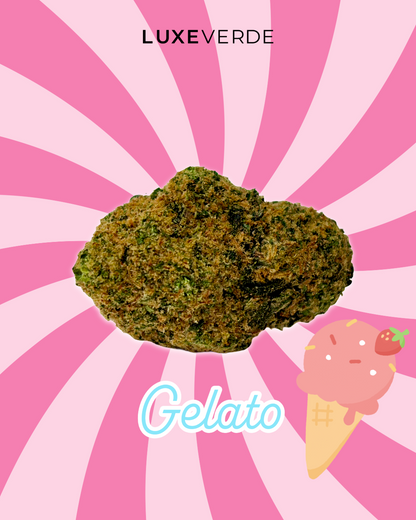Gelato