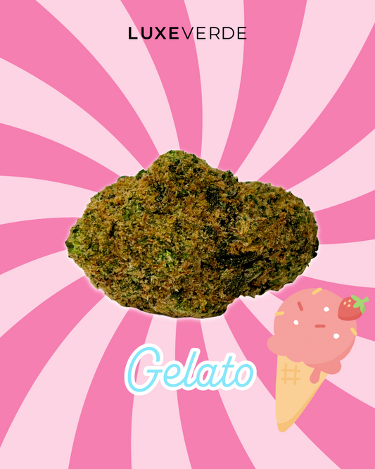 Gelato