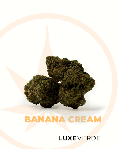 Banana Cream X
